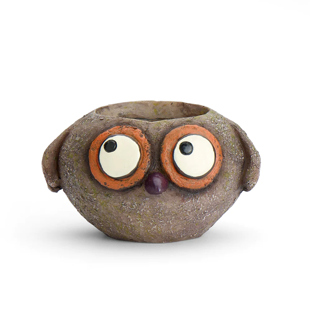 Baby Brown Owl Mini Planter