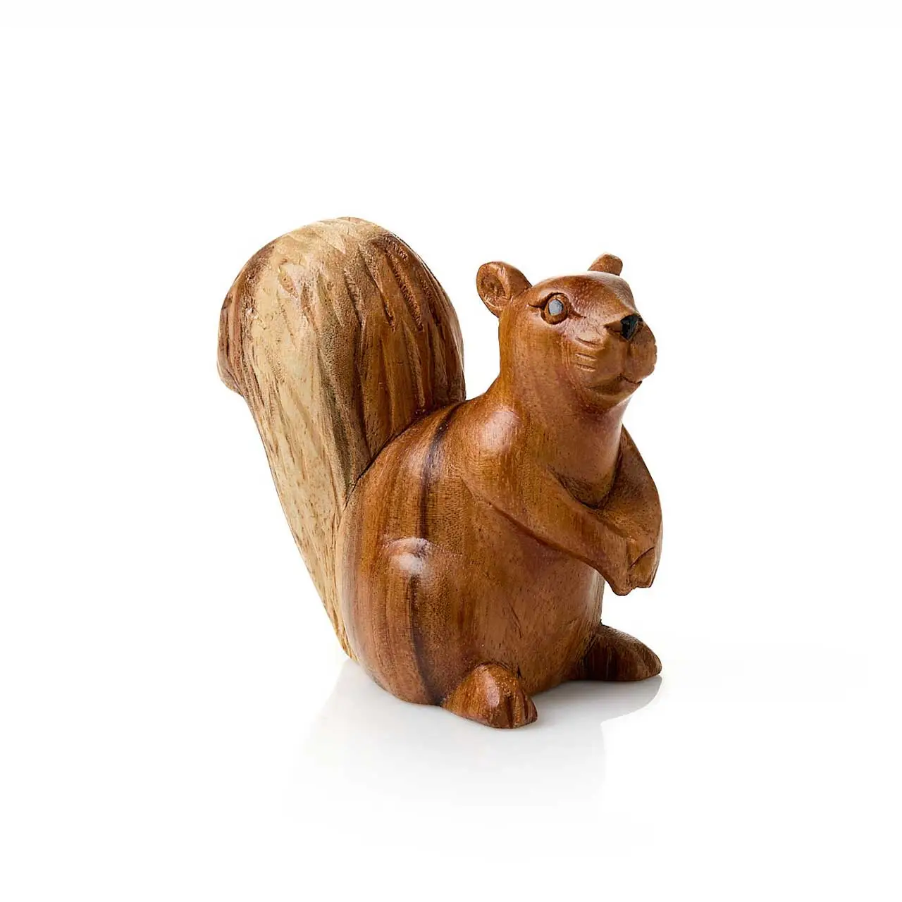 Suar Wood Squirrel