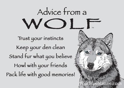 Magnet Advice from a Wolf