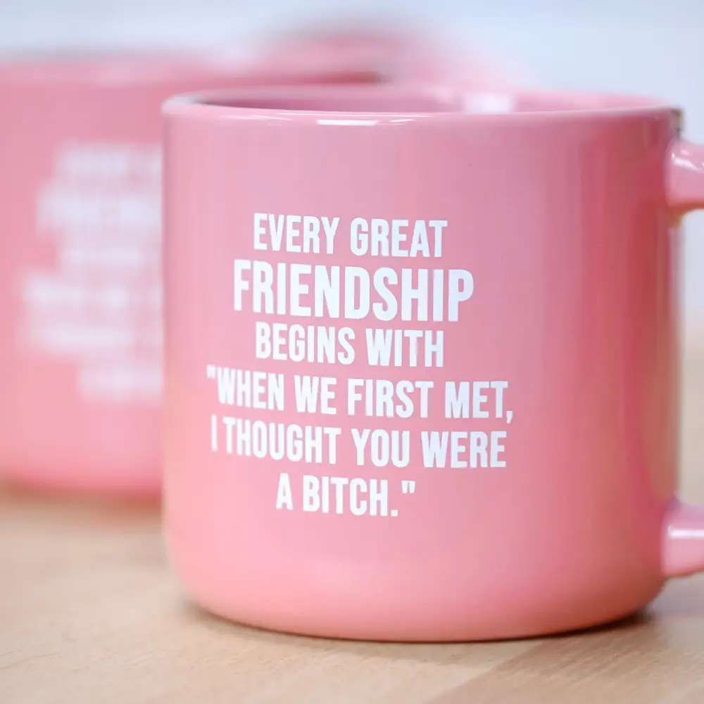 Every Great Friendship Mug