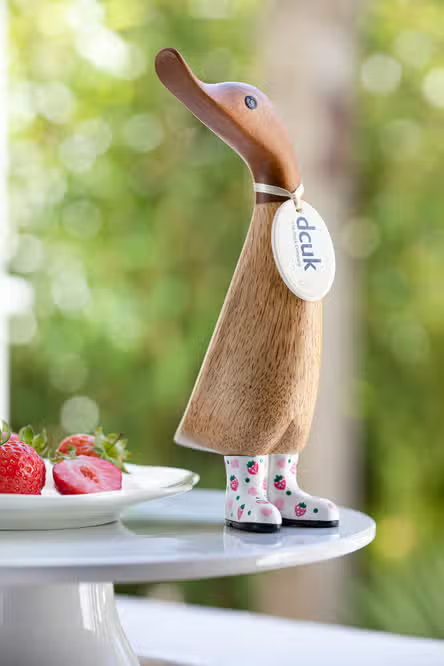 Wild Strawberry Duckling