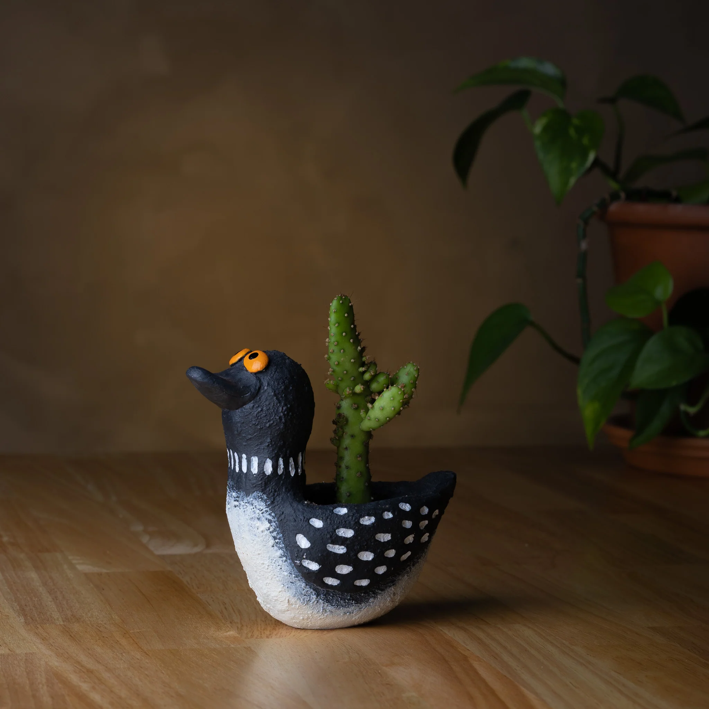 Looney Loon Planter