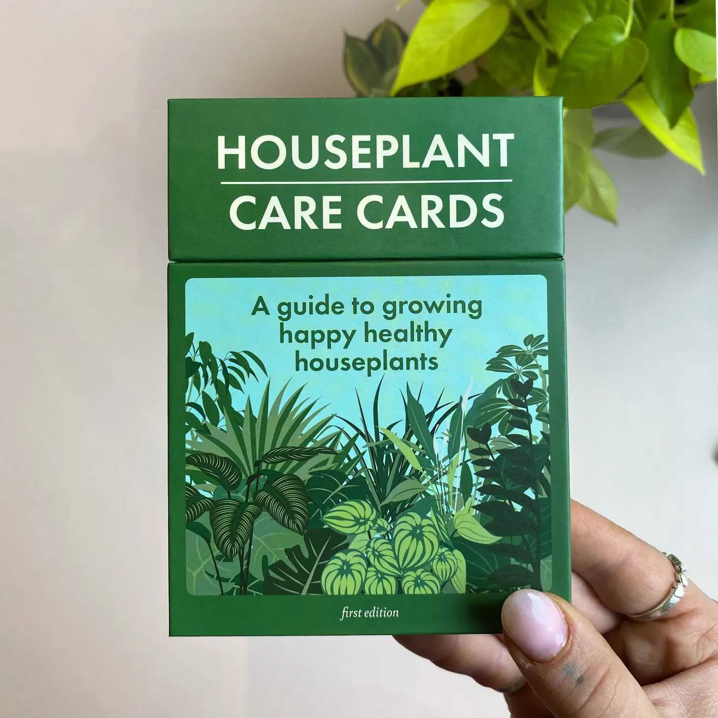 house plants care guide Houseplant Care Cards – Weeds