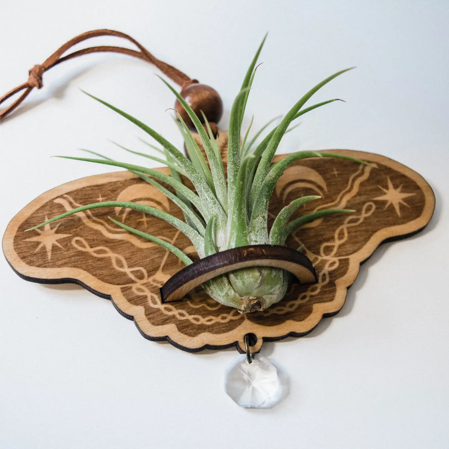 Lunar Moth Air Plant Hanger Suncatcher