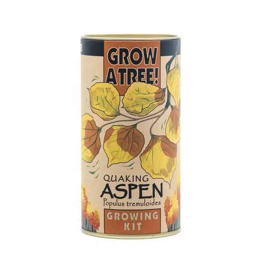 Quaking Aspen Grow Kit