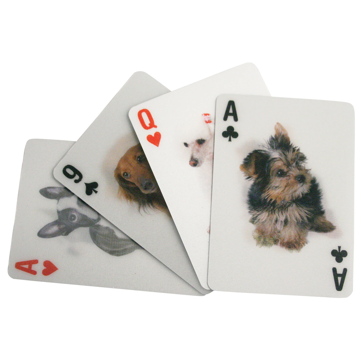 3D Playing Cards Dogs