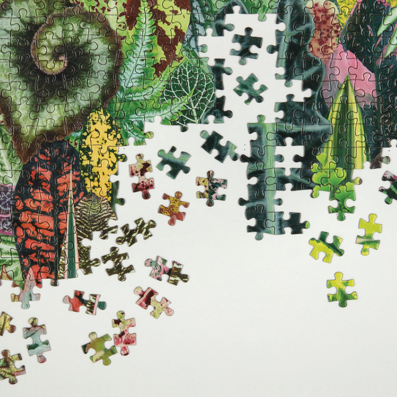 Houseplant Jungle Puzzle 1000pc