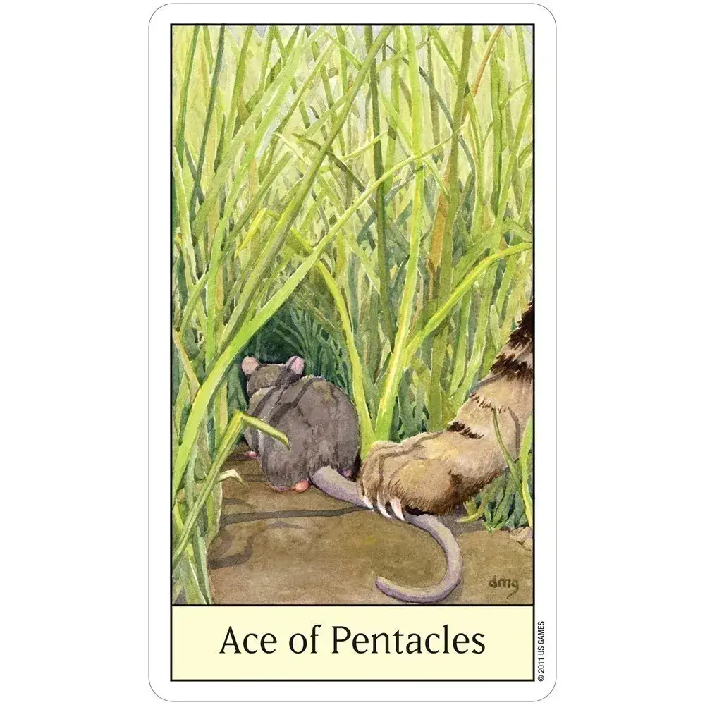 Cat's Eye Tarot Cards