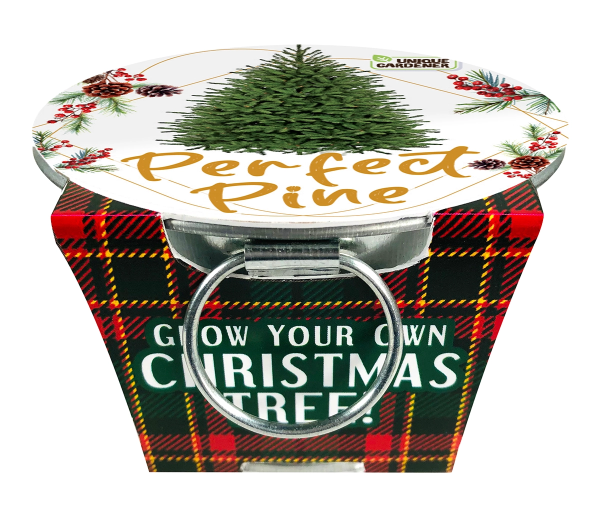 Perfect Pine Grow Kit