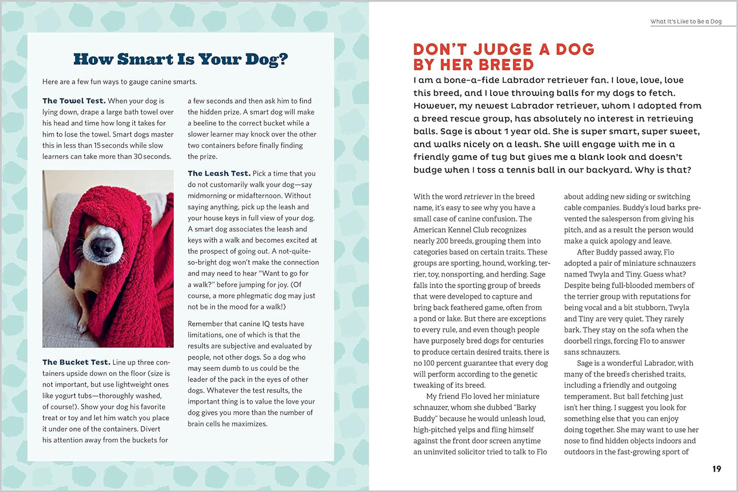 Dog Behavior Answer Book