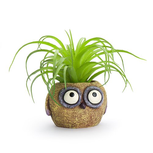 indoor owl planter Baby Yellow Owl Mini Planter – Weeds