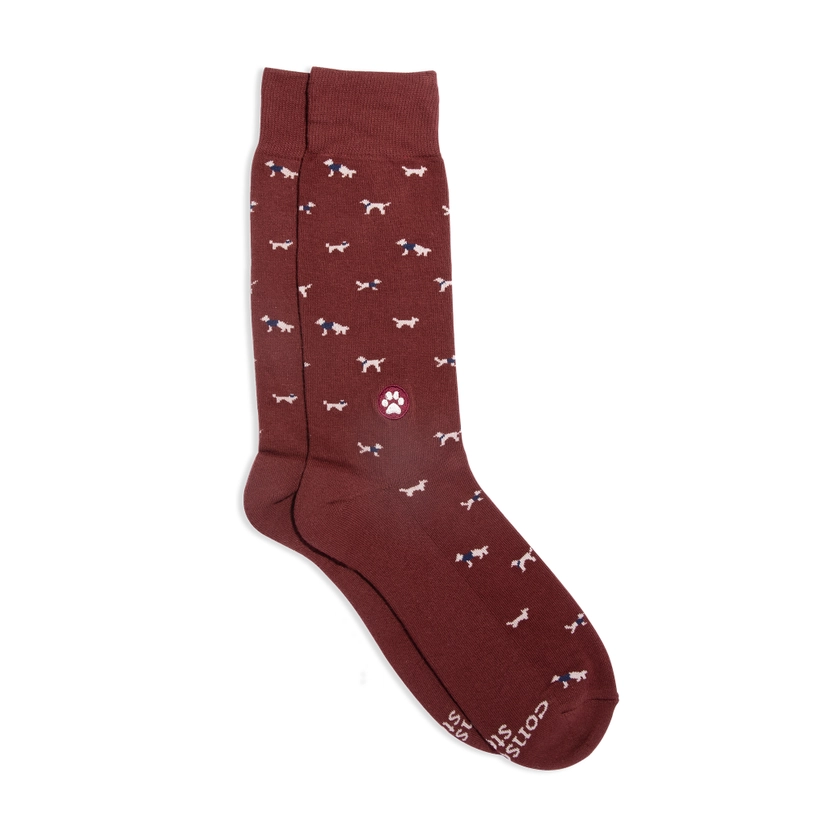 Socks That Save Dogs