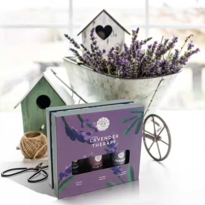 Lavender Therapy Oil Set