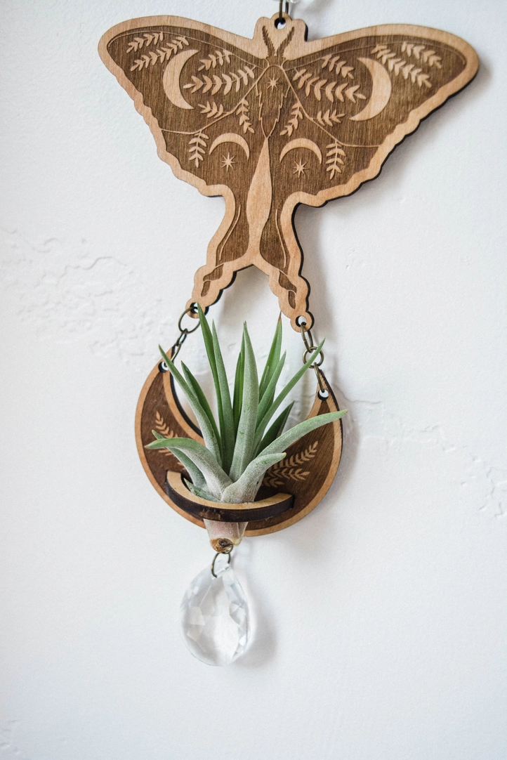 Four Moth Air Plant Holder Suncatcher