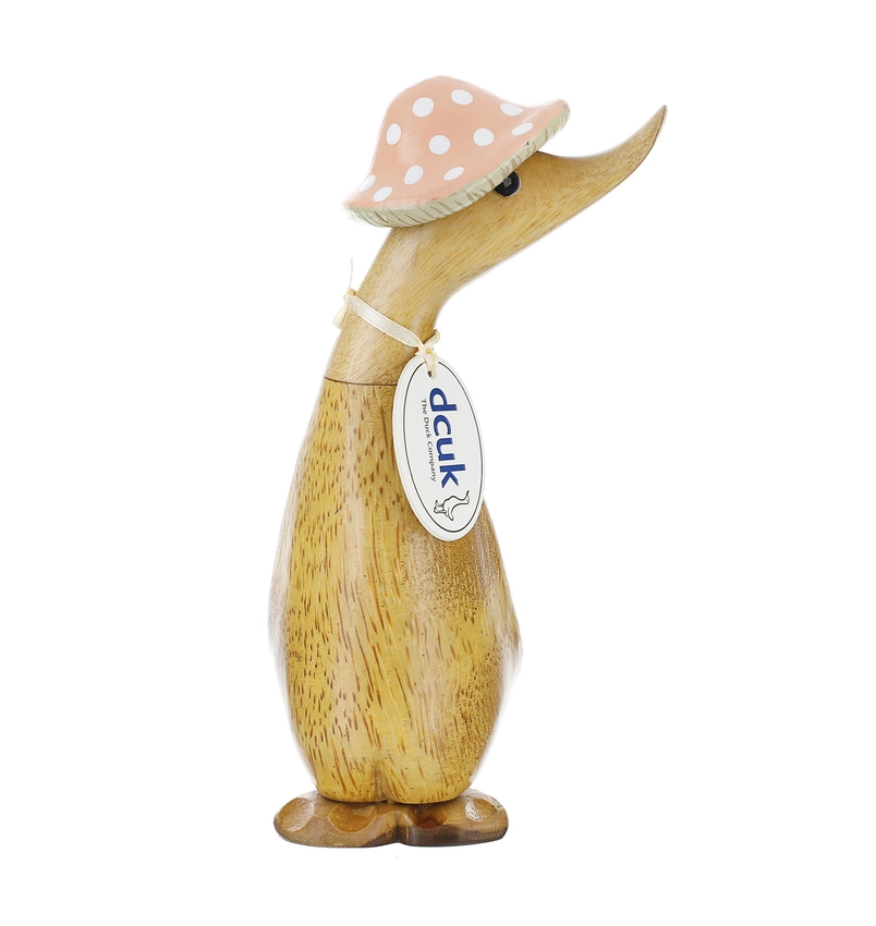 Toadstool Folk Duckling