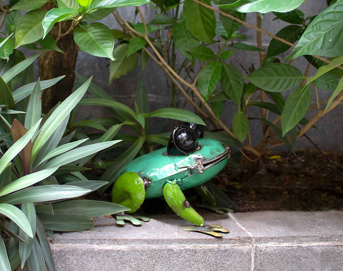Pad Me Pond Frog Large