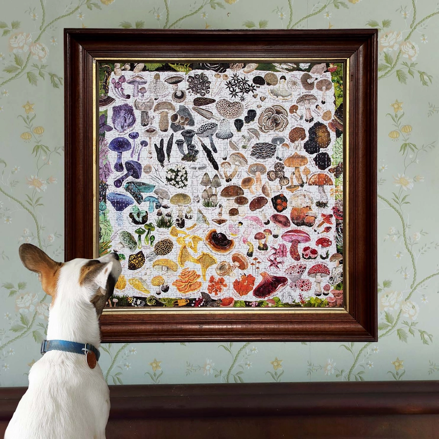 Mushroom Rainbow Puzzle 1000pc