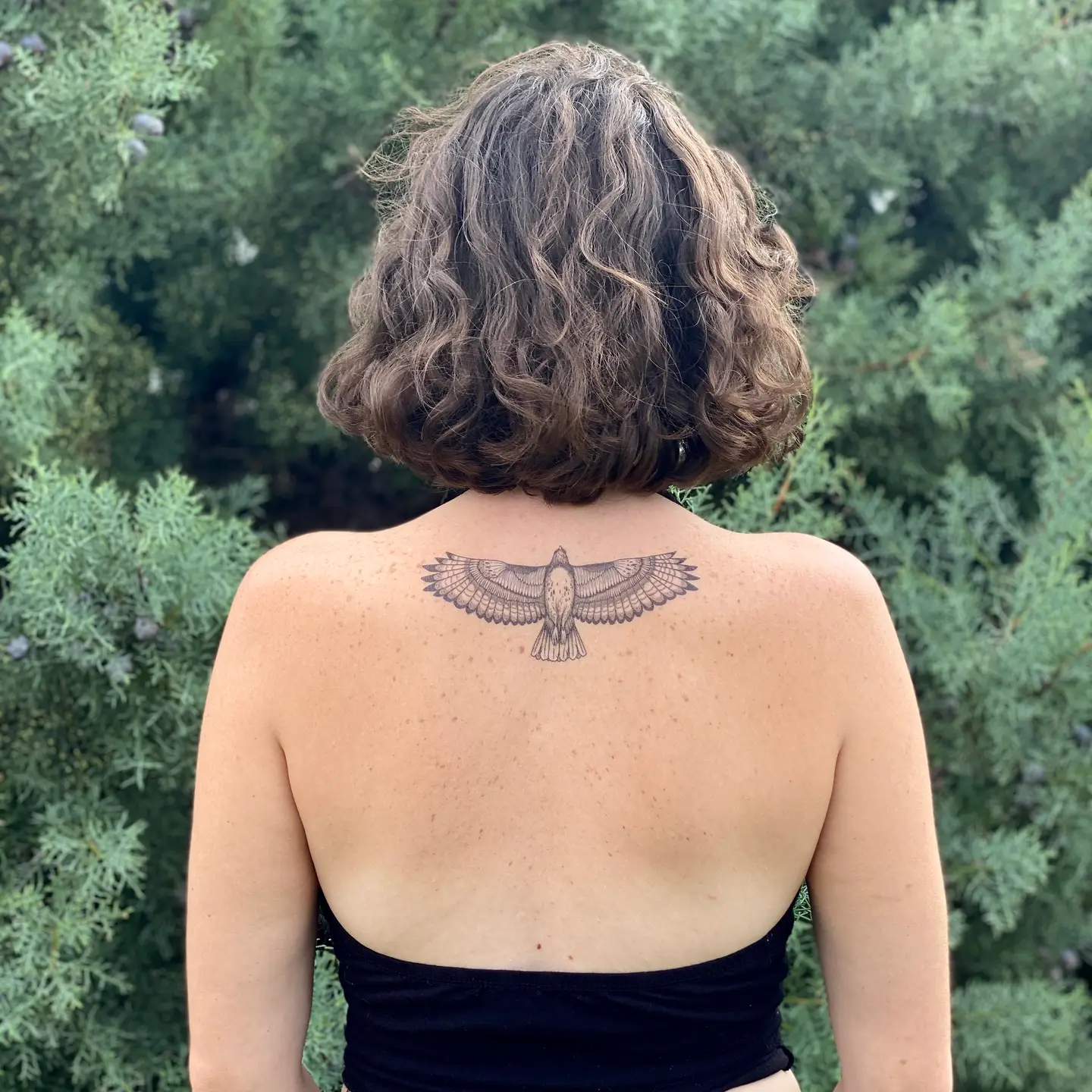 Hawk Temp Tattoo