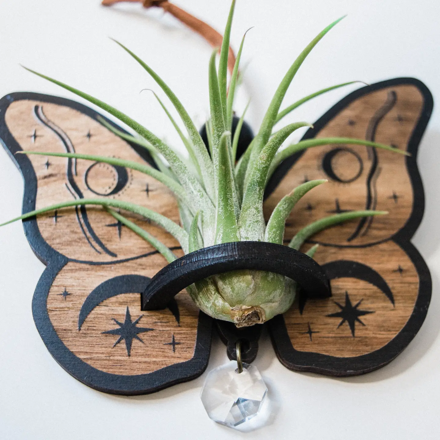 Celestial Moth Air Plant Hanger Suncatcher