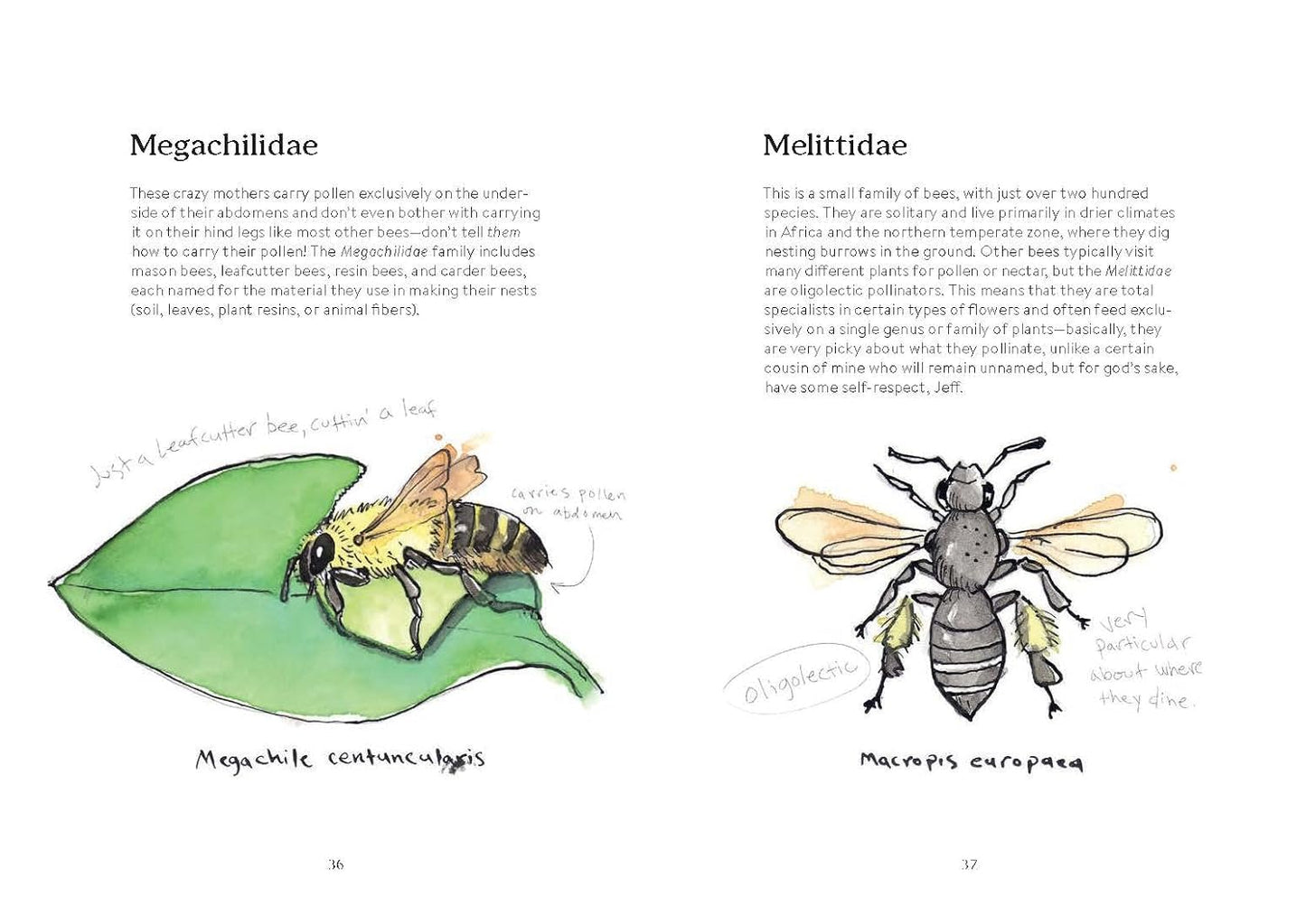 OMFG Bees Book