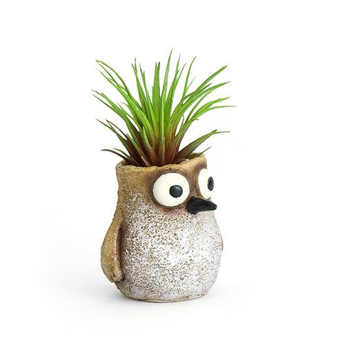 Baby Sandpiper Bird Mini Planter