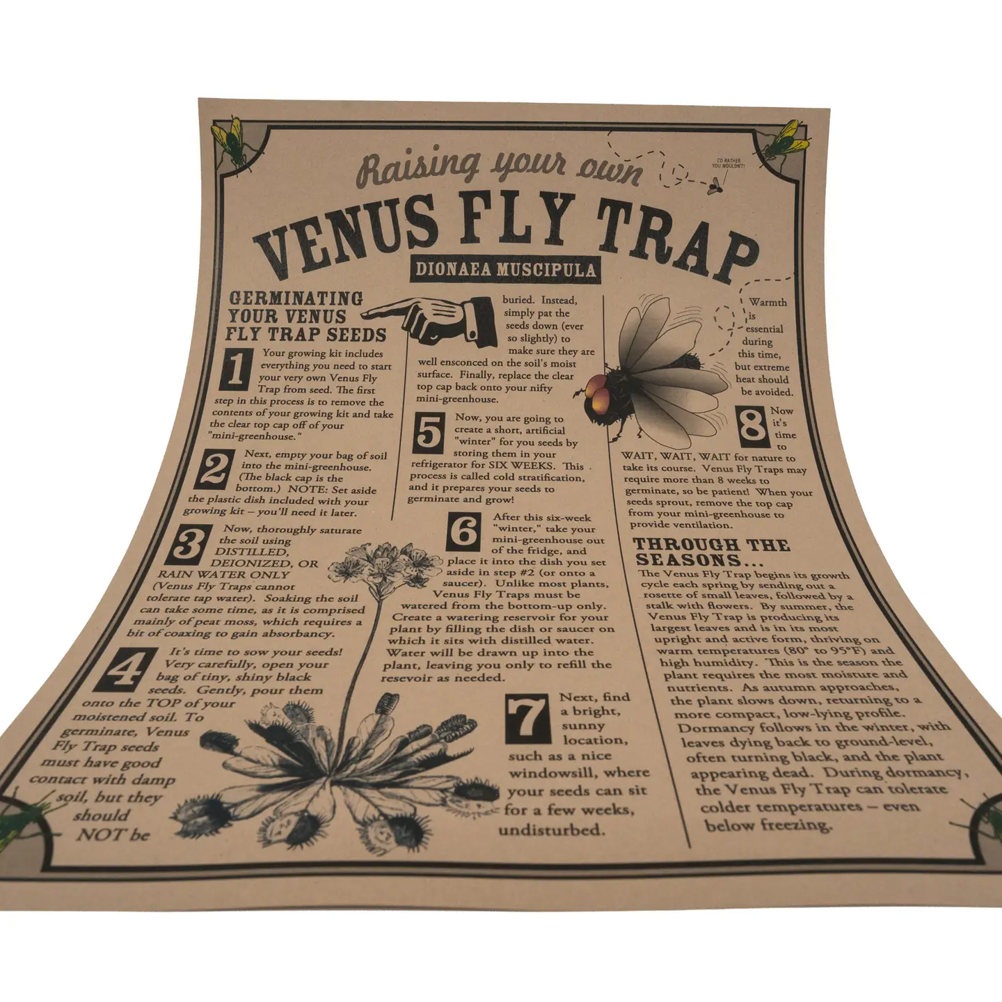Venus Flytrap Seed Grow Kit