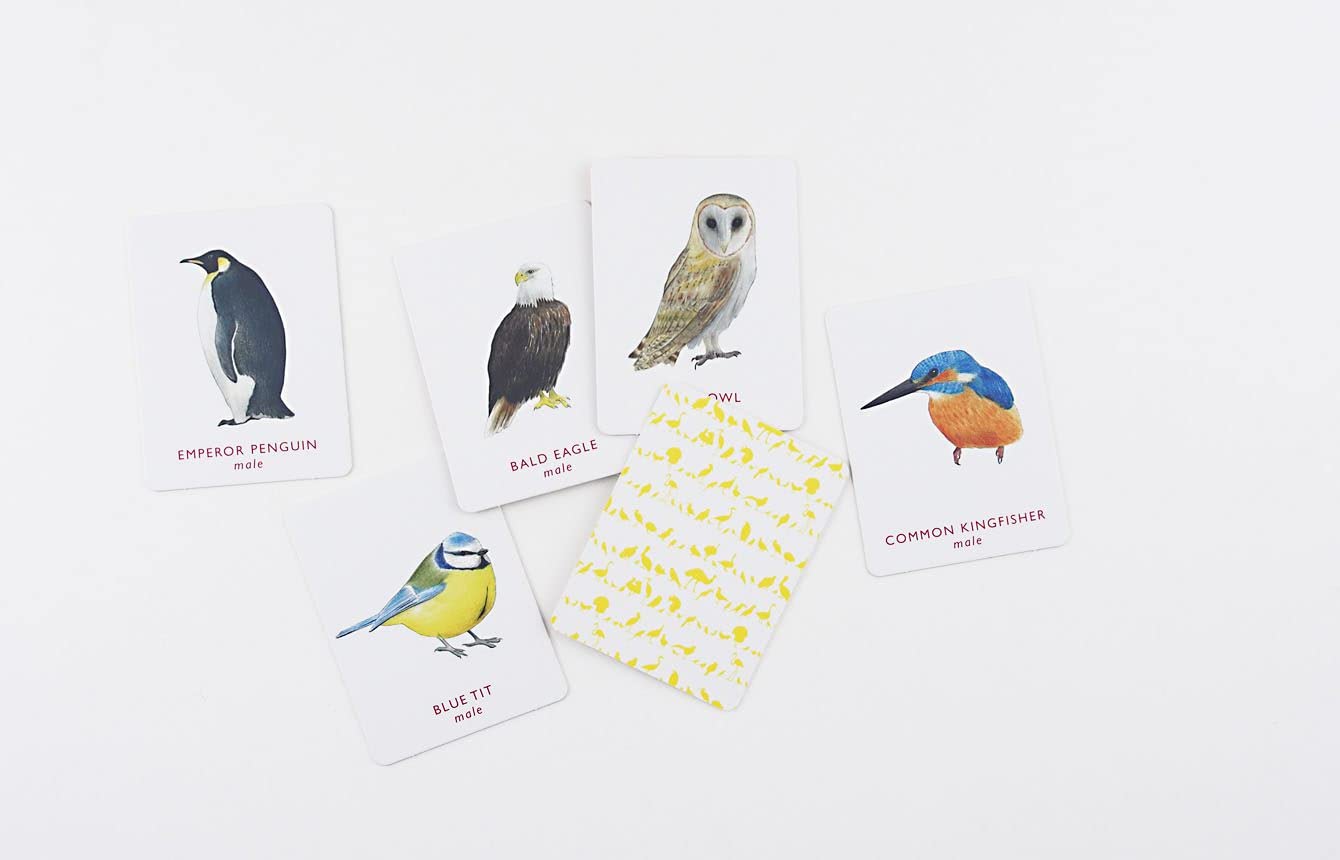 Match A Pair of Birds Game