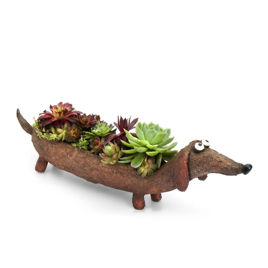 Rufus Doxin Planter