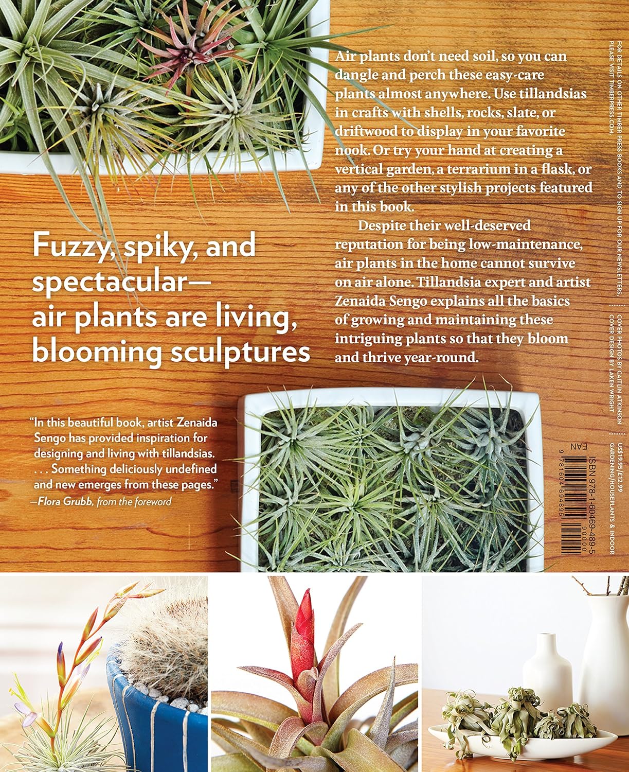 Air Plants Book