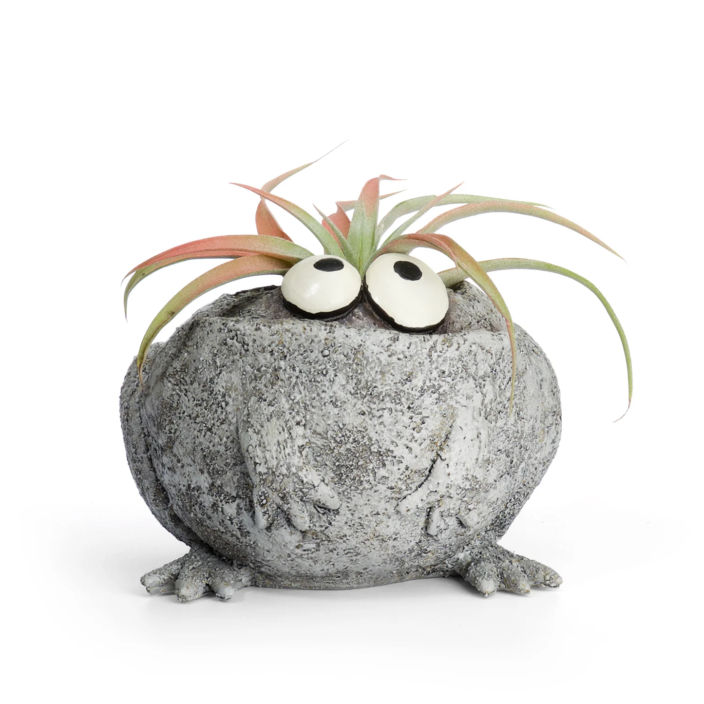Baby Romeo Frog Planter