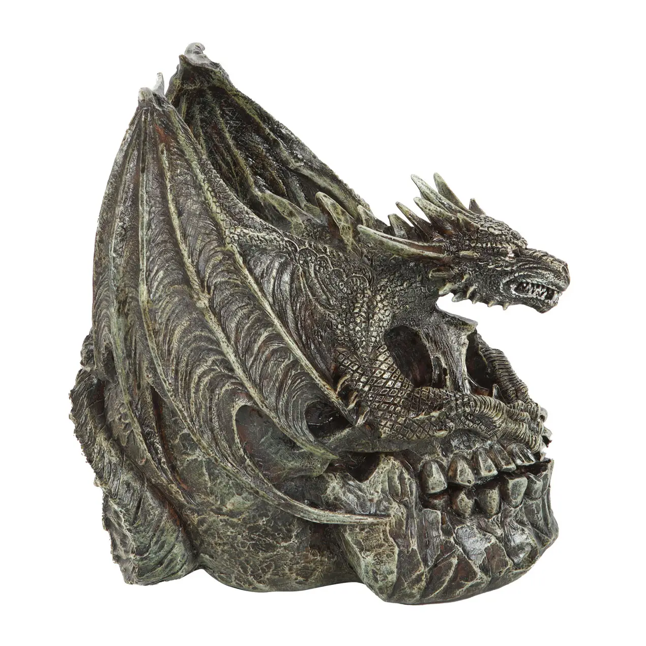 Draco Dragon Skull