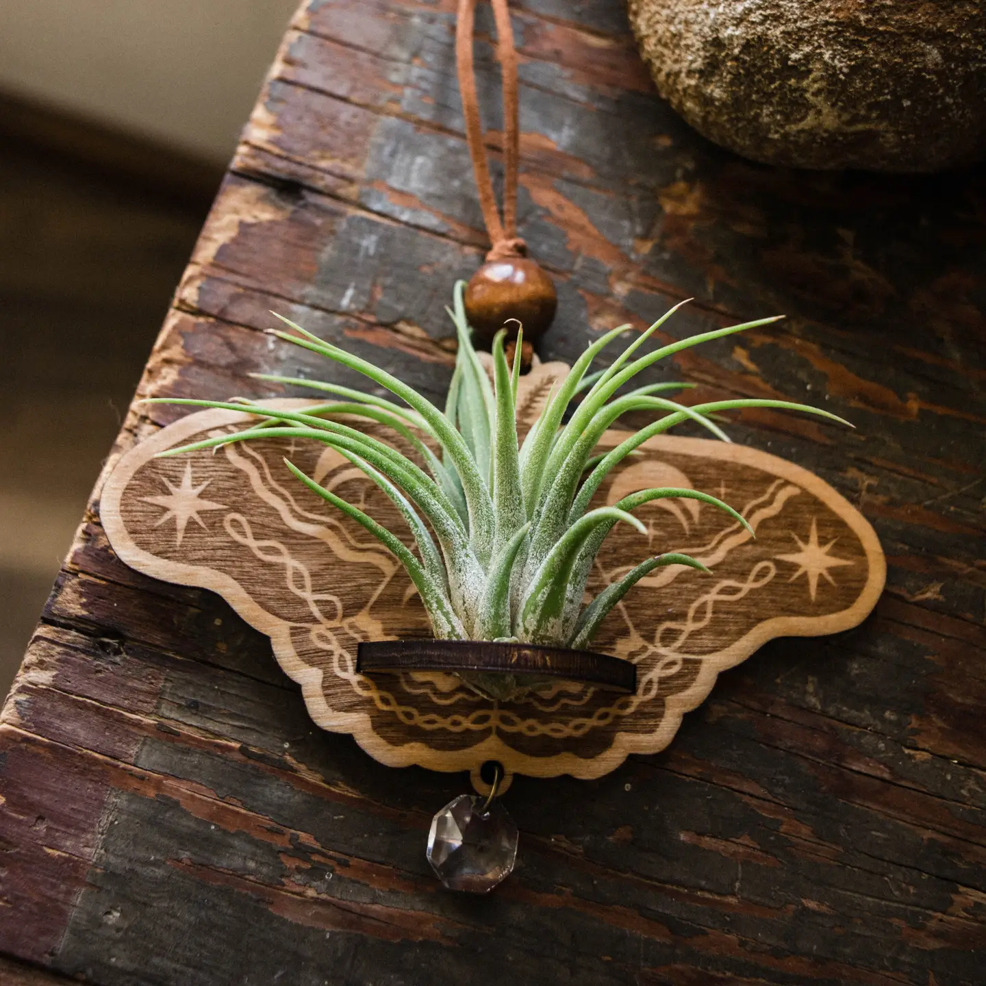 Lunar Moth Air Plant Hanger Suncatcher