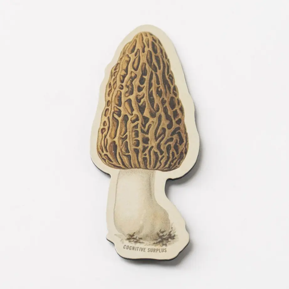 Morel Mushroom Magnet