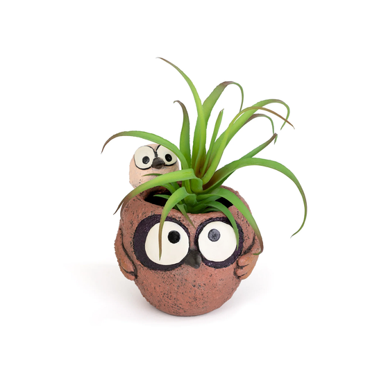 Pip & Squeak Piggy Back Owls Planter