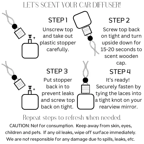 Holiday Scents Car Diffusers