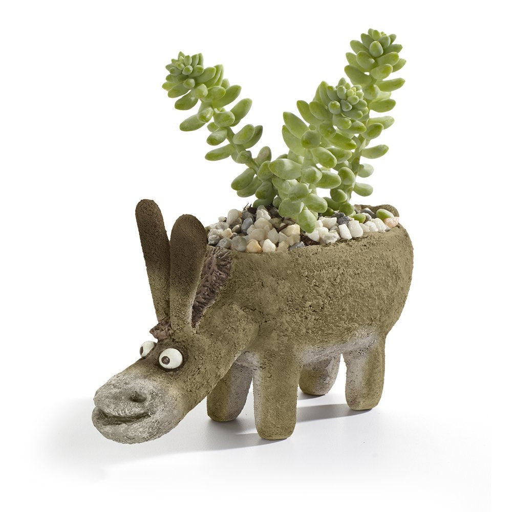 Festus The Donkey Planter