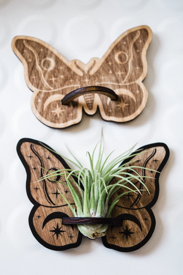 magnetic air plant holder Celestial Moth Air Plant Holder Magnet