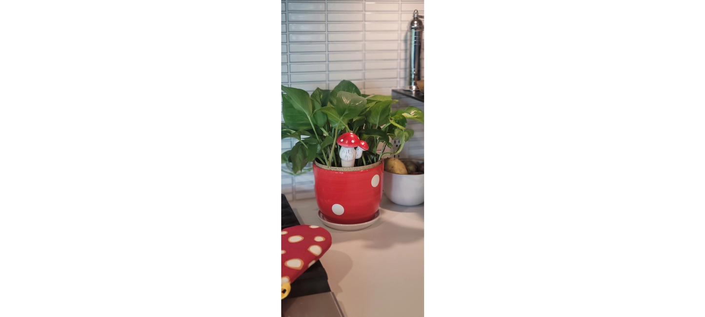 Mushroom Self Watering Spikes