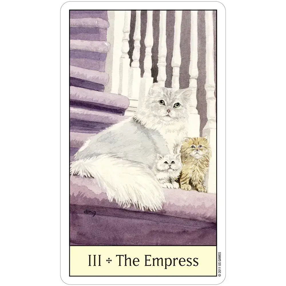 Cat's Eye Tarot Cards