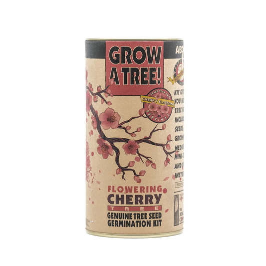 Cherry Blossom Seed Grow Kit