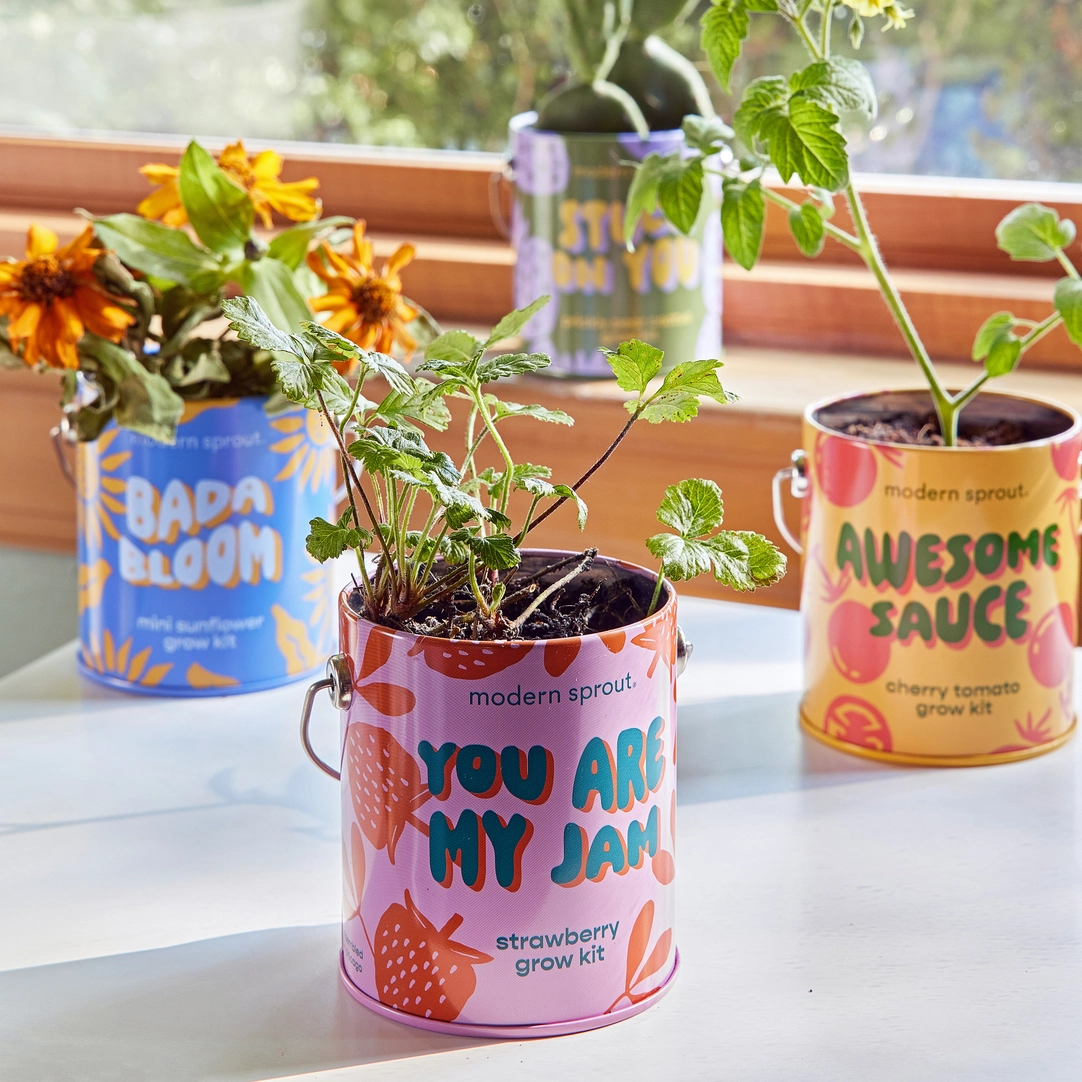 Color Grow Kit - You Are My Jam Strawberry Grow Kit