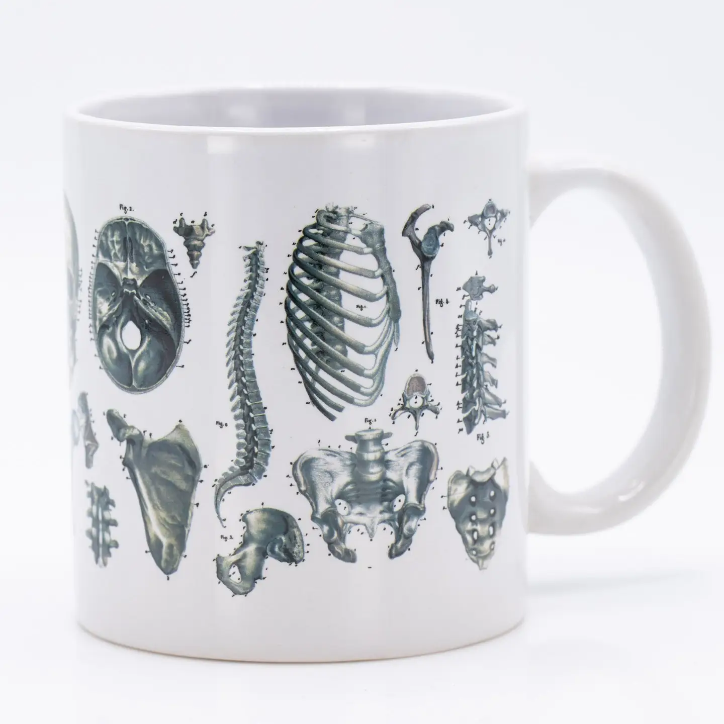 Skeleton Mega Mug