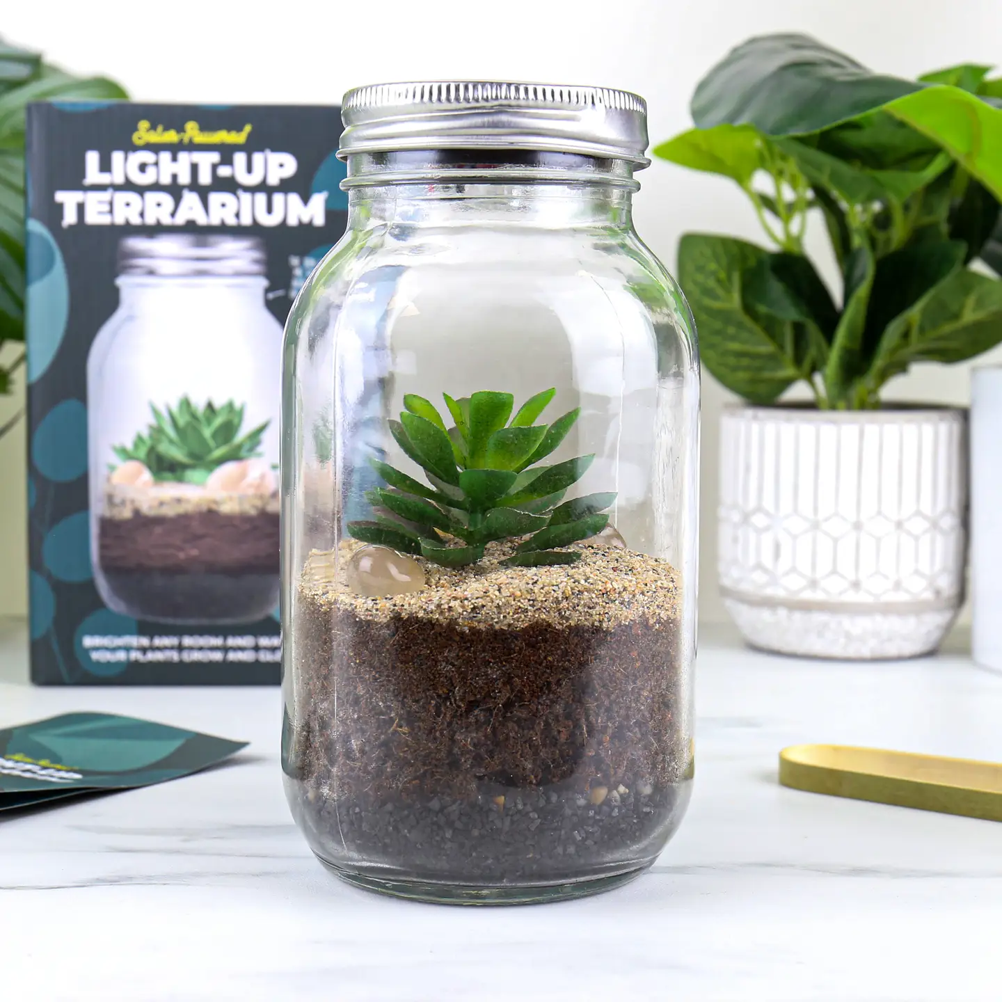 Light Up Terrarium Solar Light