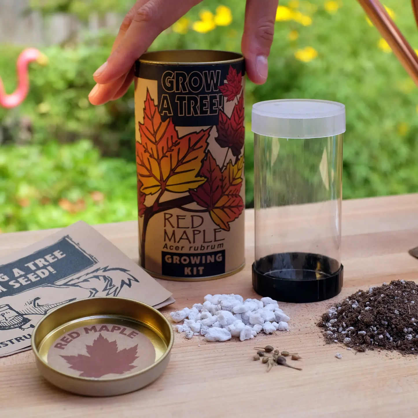 Red Maple Seed Grow Kit