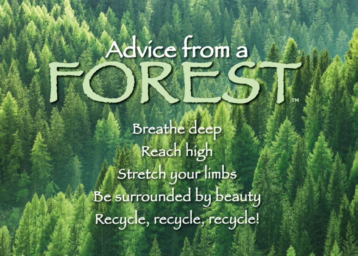 Magnet Advice from a Forest