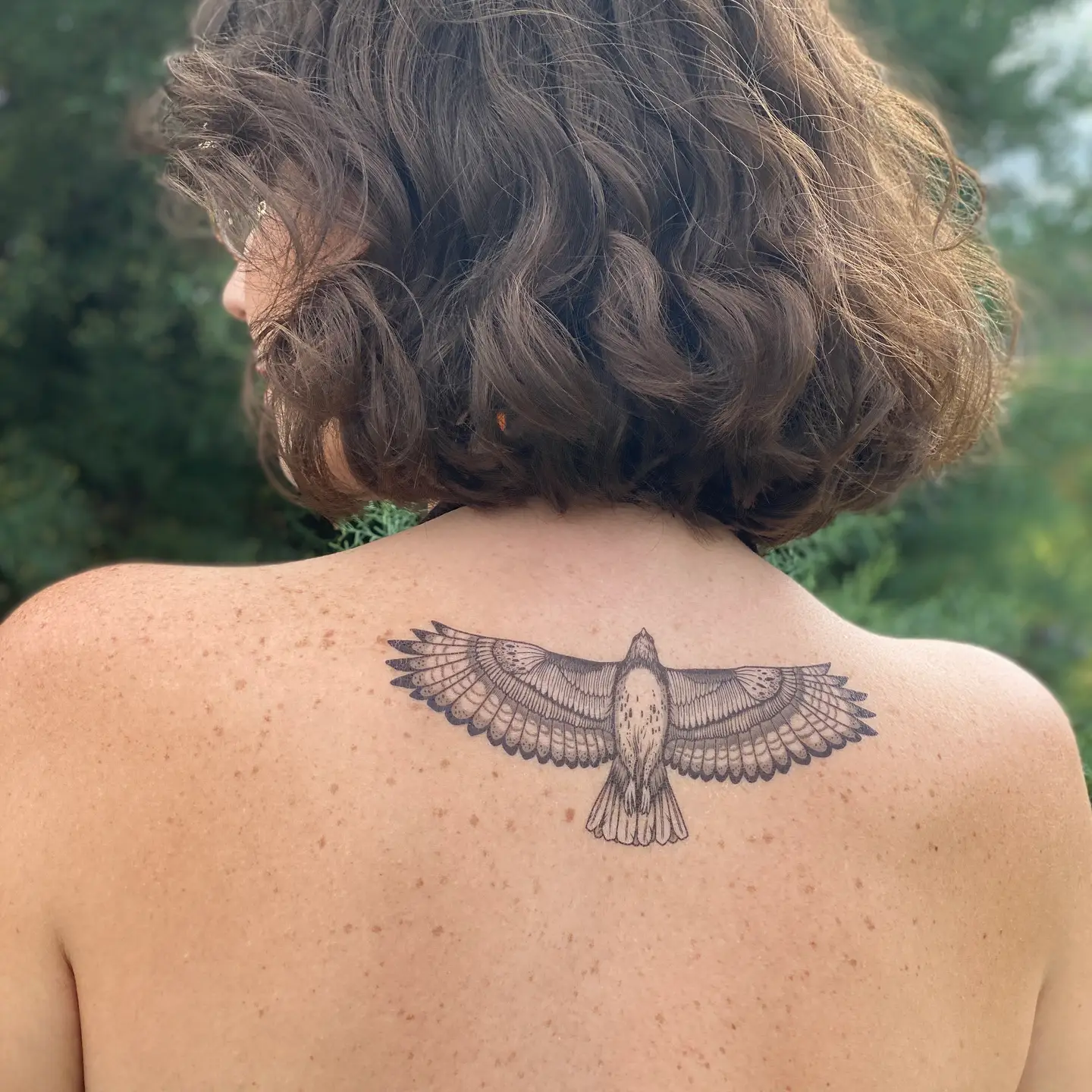 Hawk Temp Tattoo