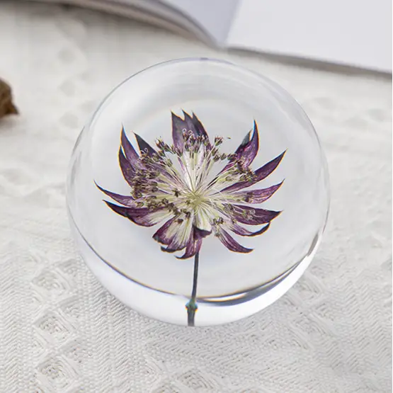 Natural Flower Glass Resin - Astrantia
