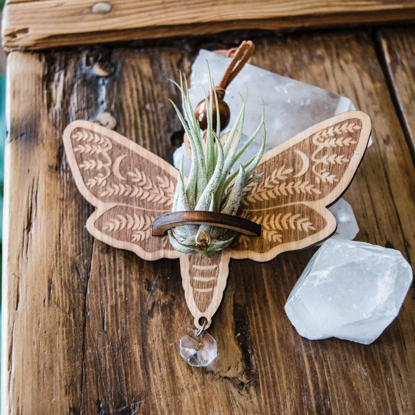 Death's Head Moth Air Plant Hanger Suncatcher