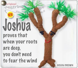 Joshua String Doll Keychain