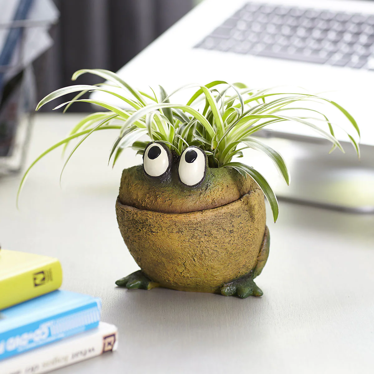 Planter Fred the Frog